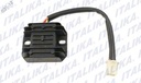 RECTIFICADOR CONJUNTO