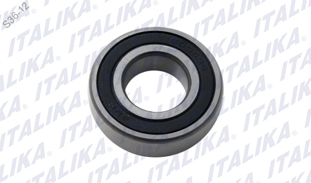 BALERO RADIAL BOLAS 6004-2RS