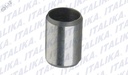 PASADOR GUIA 10*14