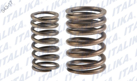 CONJUNTO RESORTE VALVULA