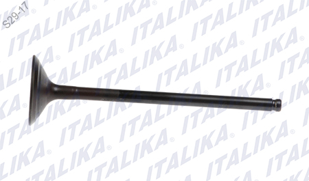 VALVULA ESCAPE 5.5X29X102