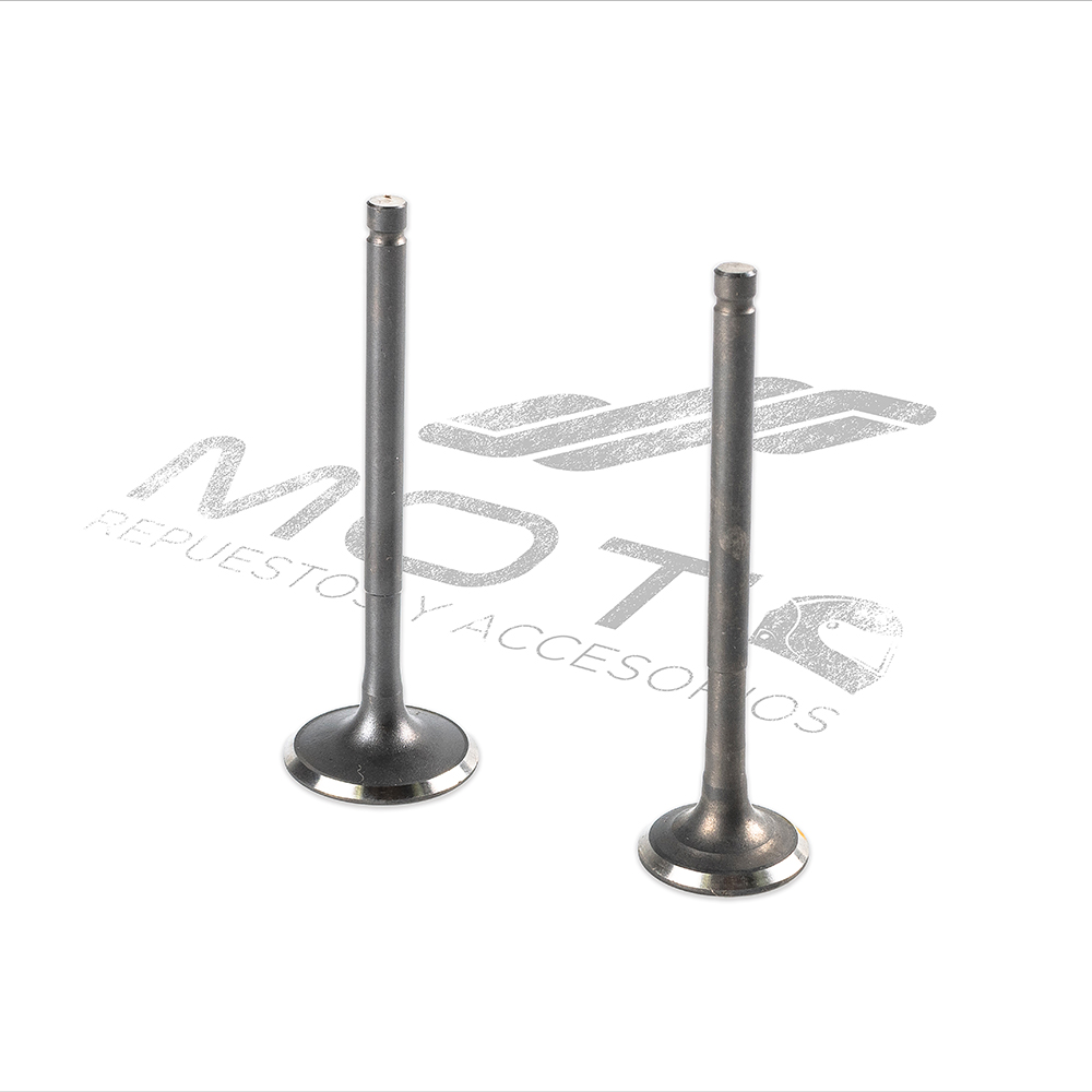 JUEGO VALVULAS MOTOR