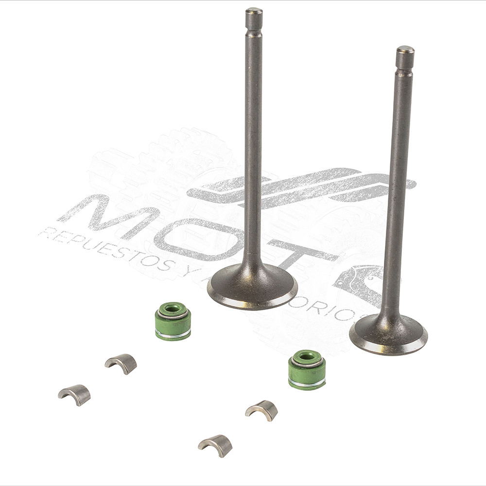 JUEGO VALVULAS MOTOR