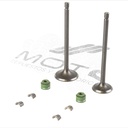 JUEGO VALVULAS MOTOR