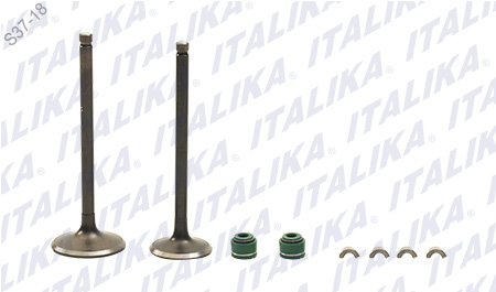 JUEGO VALVULAS MOTOR