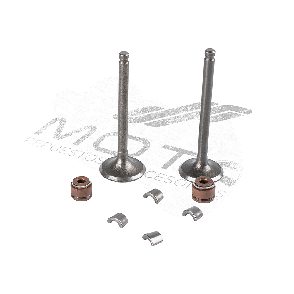 JUEGO VALVULAS MOTOR