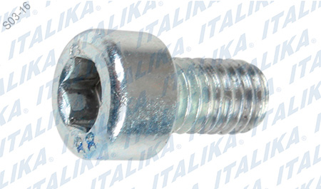 TORNILLO M6X10