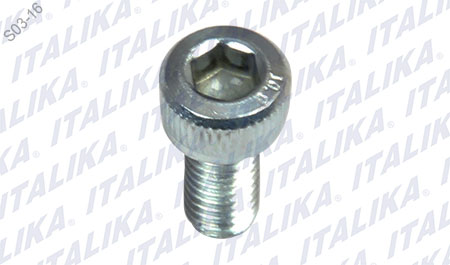 TORNILLO M5X10