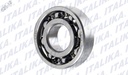 BALERO RADIAL BOLA 6204/P6