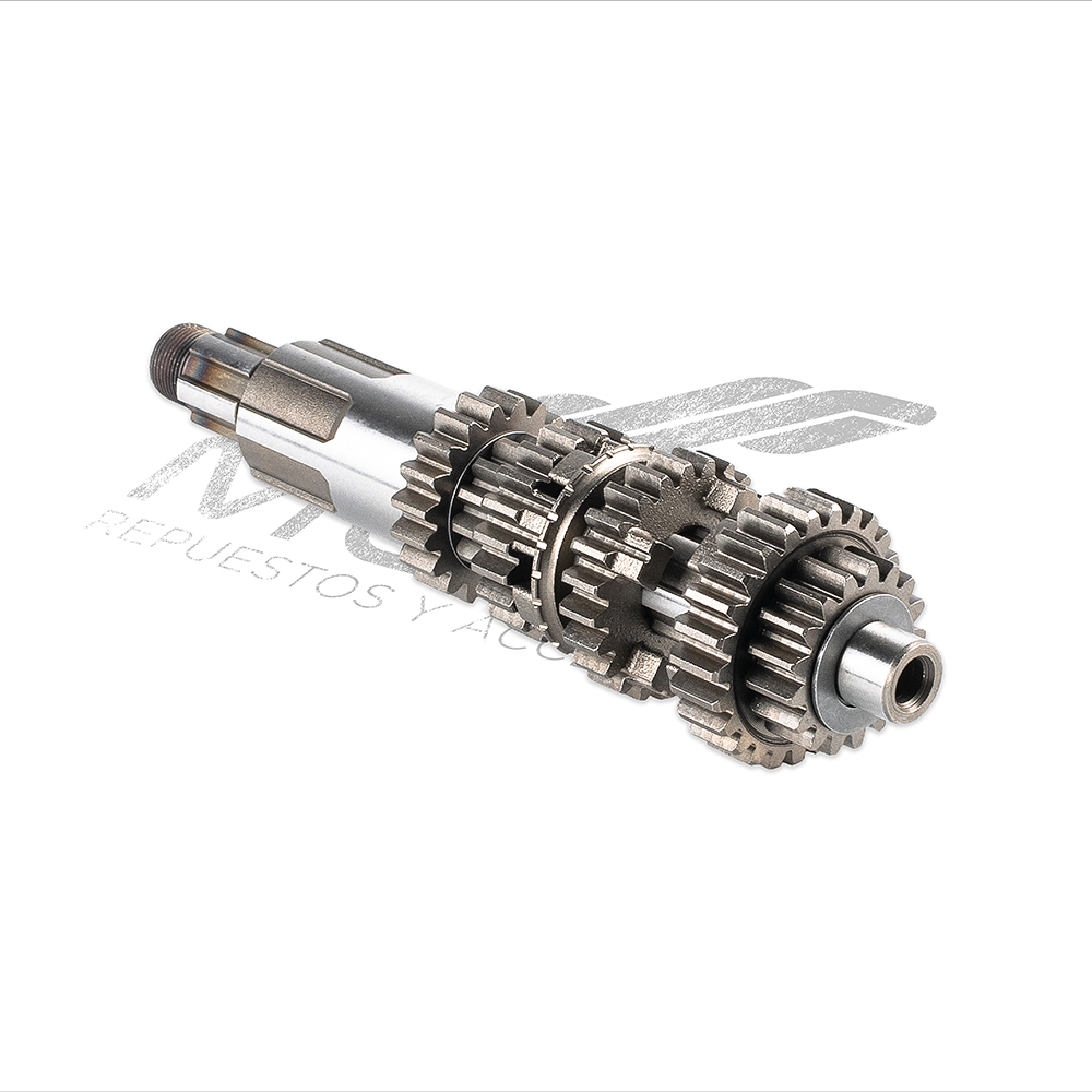 CONJUNTO PRIMARIO TRASMISION