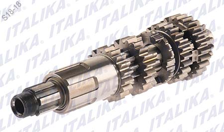 CONJUNTO PRIMARIO TRASMISION