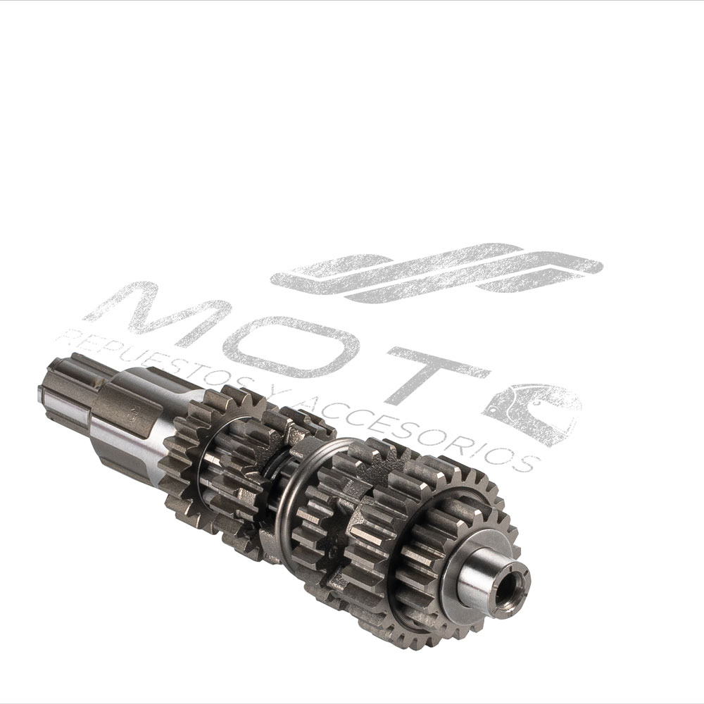 CONJUNTO PRIMARIO TRANSMISION