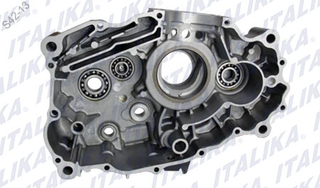 COMPONENTE DE CARTER IZQUIERDO