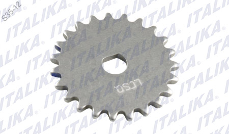 PIÑON BOMA DE ACEITE