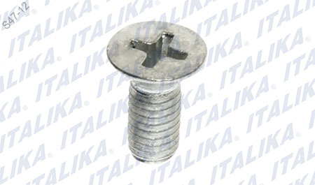 TORNILLO M5×12