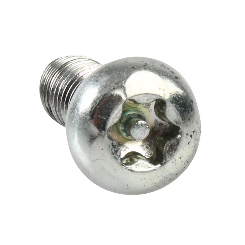 TORNILLO ANTIRROBO M6X12