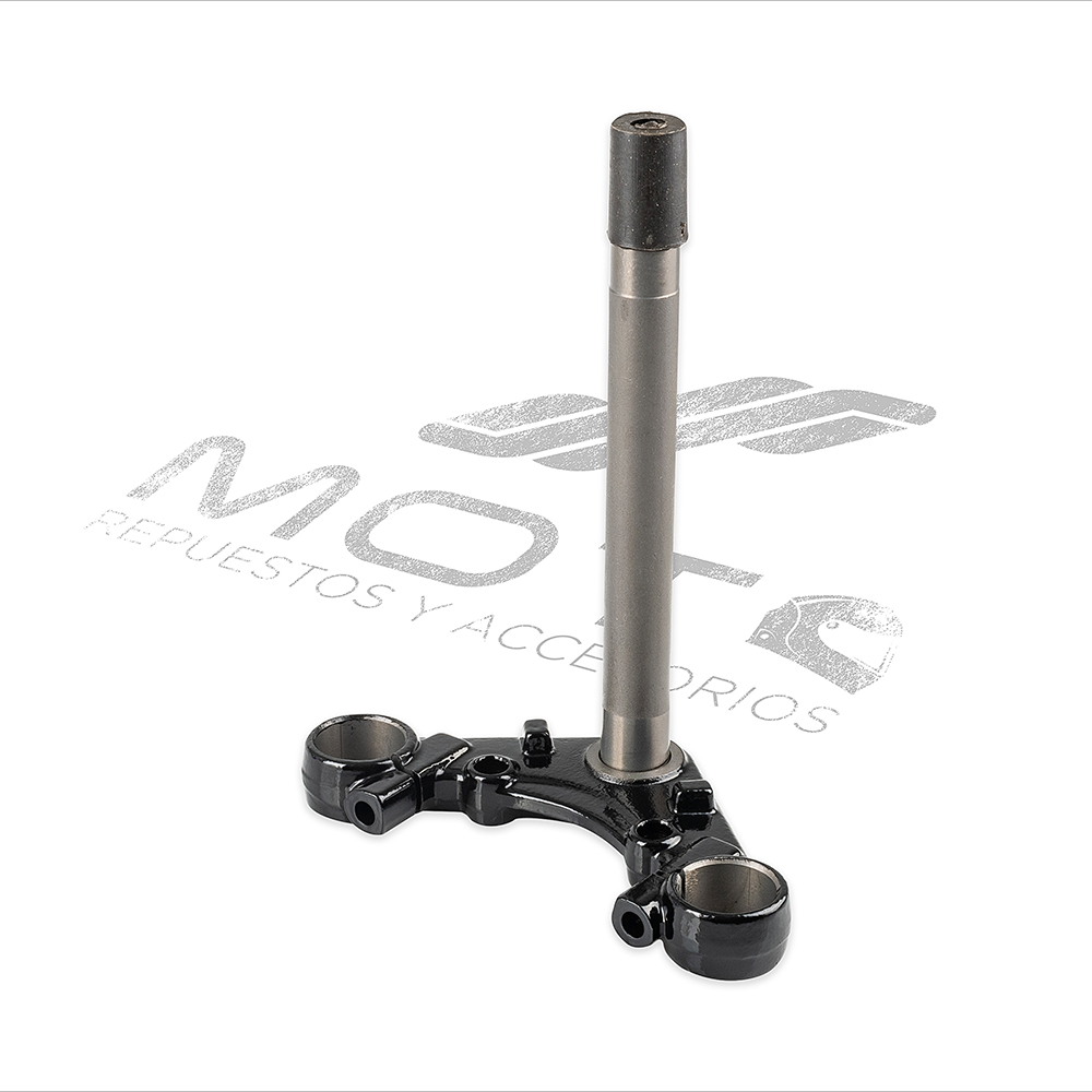 TELESCOPIO DIRECCION