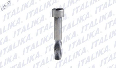 EJE SOPORTE MOTOR M10X57