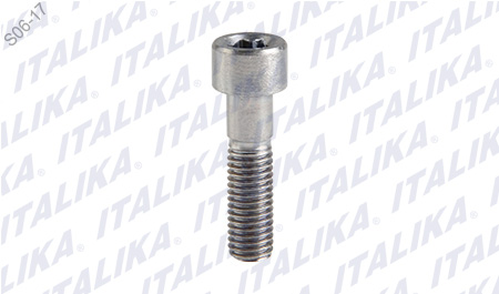 EJE SOPORTE MOTOR M10X37