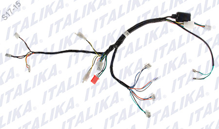 ARNES SUPLEMENTARIO DEL