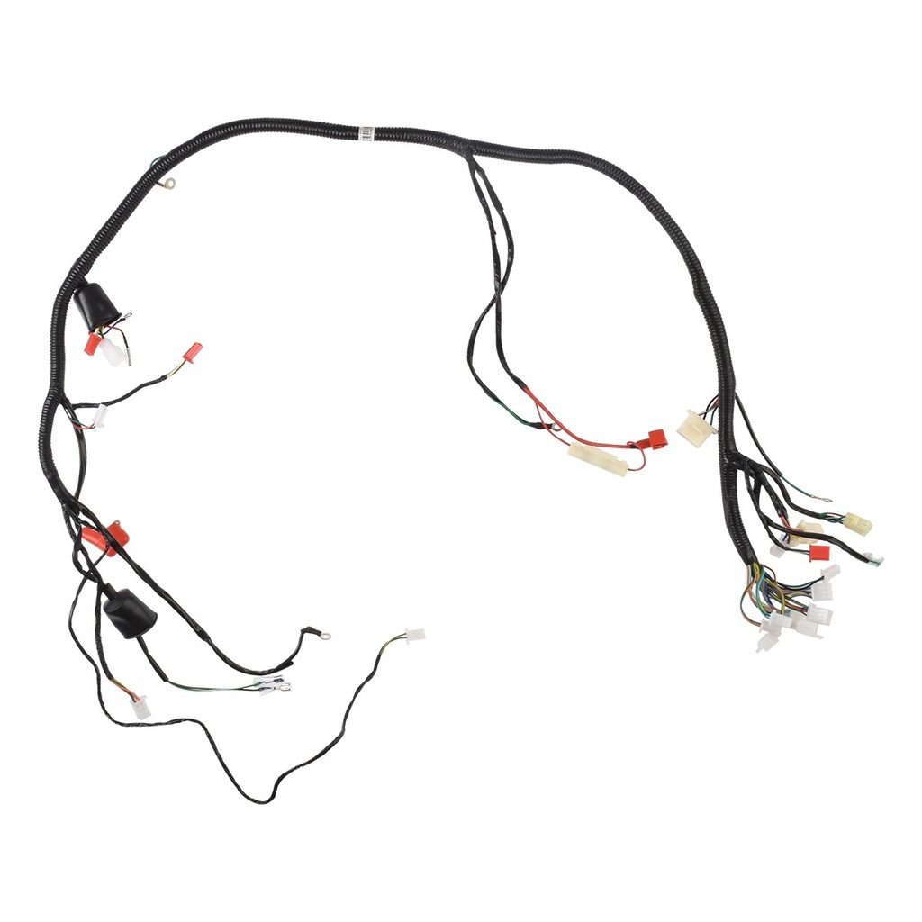 ARNES PRINCIPAL CON CONECTOR USB