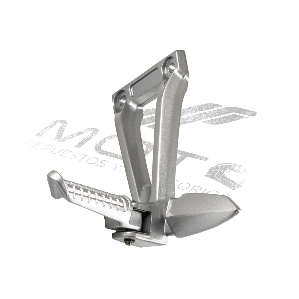 CONJUNTO POSAPIE TRAS IZQ