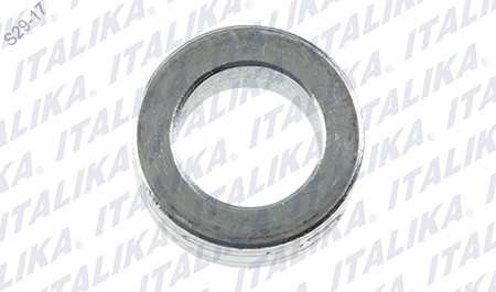 BUJE RUEDA TRAS 17.2X11