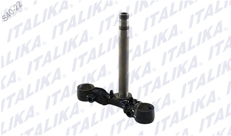 [C01010001] TELESCOPIO DIRECCION