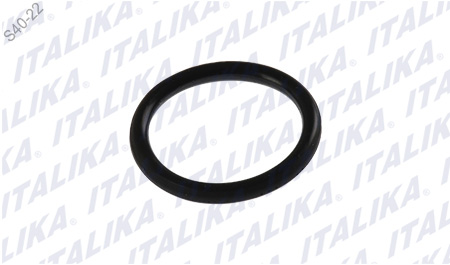 [C01060011] O-RING