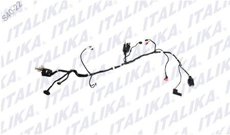 [C06050003] ARNES PRINCIPAL