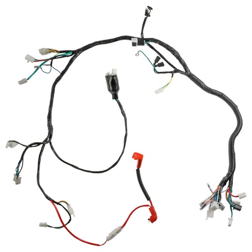 [F06050266] ARNES PRINCIPAL