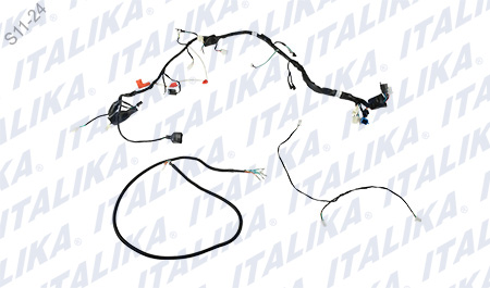 [F06050277] ARNES PRINCIPAL