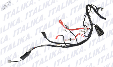 [F06050286] ARNES PRINCIPAL