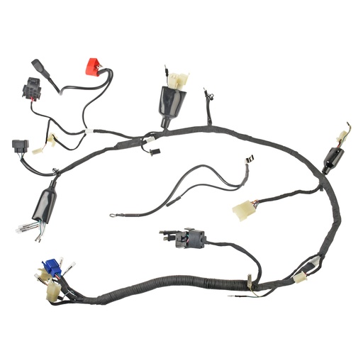 [F06050287] ARNES PRINCIPAL