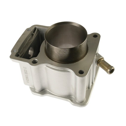 [E03010084] CILINDRO PLATA