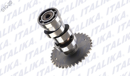 [E04010105] ARBOL LEVAS