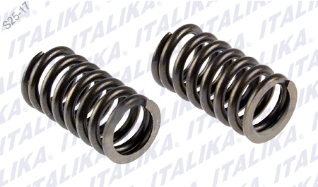 [E04040209] RESORTE INTERNO VALVULA