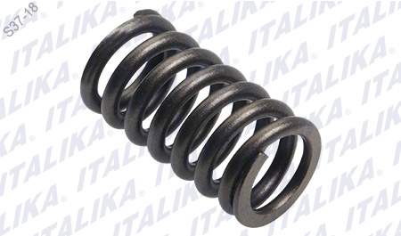 [E04040230] RESORTE INTERNO VALVULA