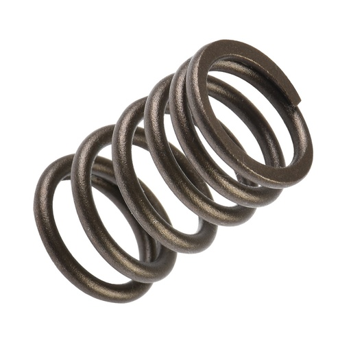 [E04040243] RESORTE EXTERNO VALVULA