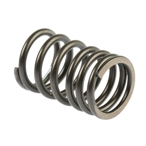 [E04040250] RESORTE EXTERNO VALVULA