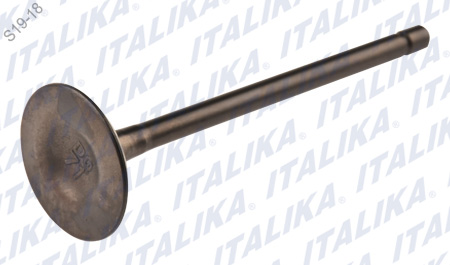 [E04050065] VALVULA ADMISION, d=5.5, D=30, L=92