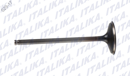 [E04050109] VALVULA ADMISION 5.5X35X102