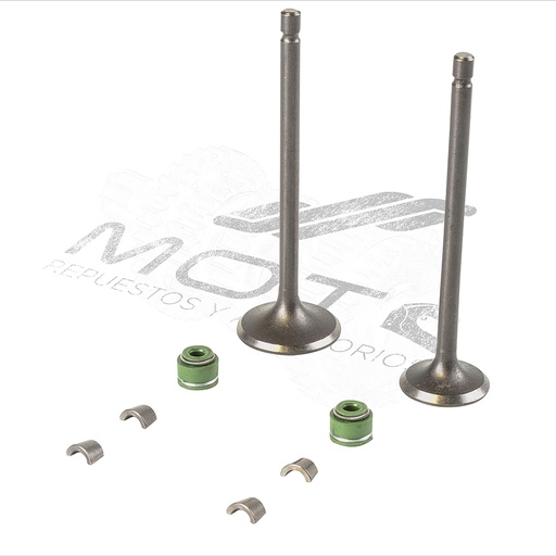 [E0405KV02] JUEGO VALVULAS MOTOR