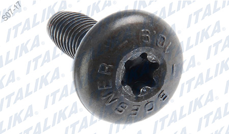 [E04060073] TORNILLO ARBOL LEVAS