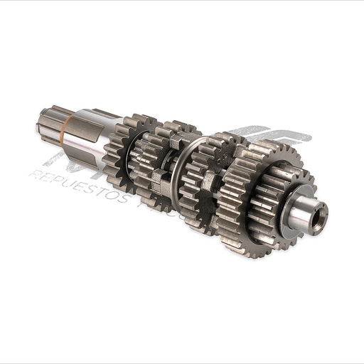 [E06020085] CONJUNTO PRIMARIO TRANSMISION