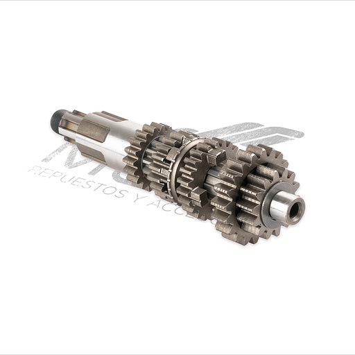 [E06020090] CONJUNTO PRIMARIO TRANSMISION