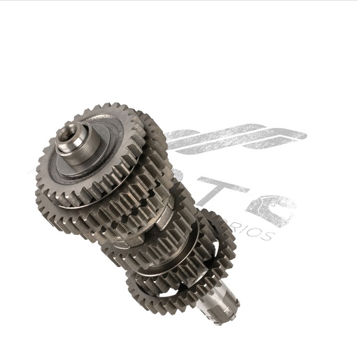 [E06020096] CONJUNTO SECUNDARIO TRANSMISION