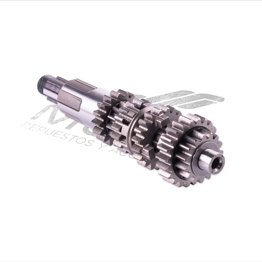 [E06020114] CONJUNTO PRIMARIO TRANSMISION