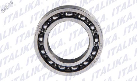 [E07030053] BALERO BOLA RADIAL 6905