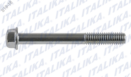 [E07060080] TORNILLO 6M*50